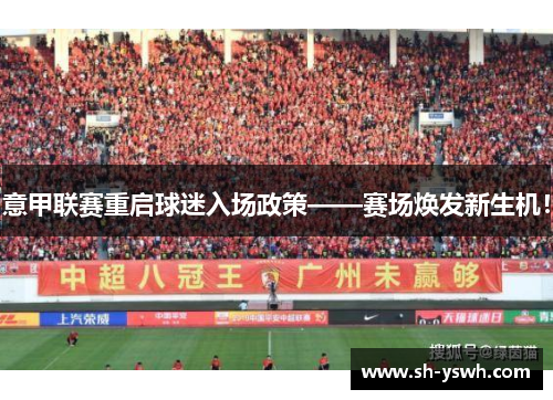 意甲联赛重启球迷入场政策——赛场焕发新生机！