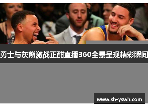 勇士与灰熊激战正酣直播360全景呈现精彩瞬间