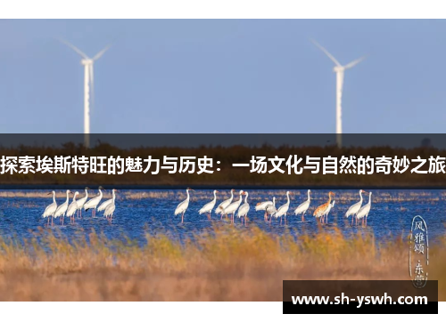 探索埃斯特旺的魅力与历史：一场文化与自然的奇妙之旅