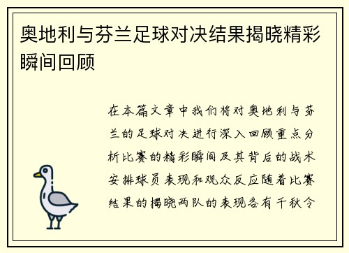 奥地利与芬兰足球对决结果揭晓精彩瞬间回顾