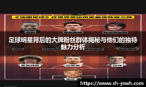 足球明星背后的大牌粉丝群体揭秘与他们的独特魅力分析