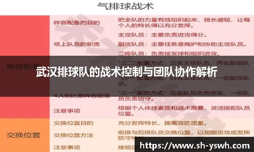 武汉排球队的战术控制与团队协作解析
