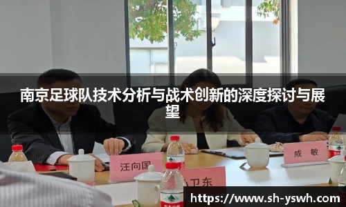南京足球队技术分析与战术创新的深度探讨与展望